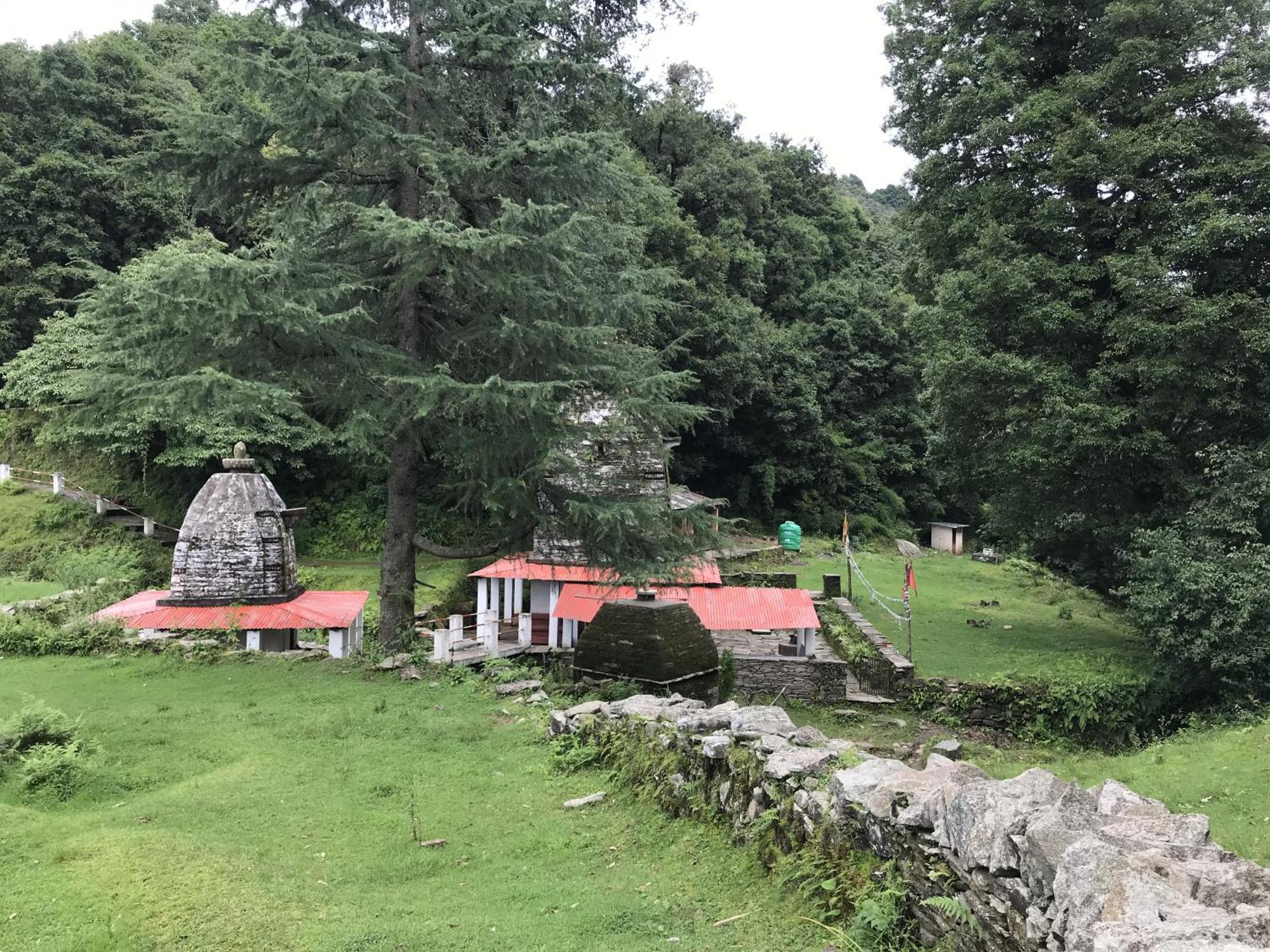 Simba Jungle Lodge, Binsar Wildlife Sanctuary Екстериор снимка