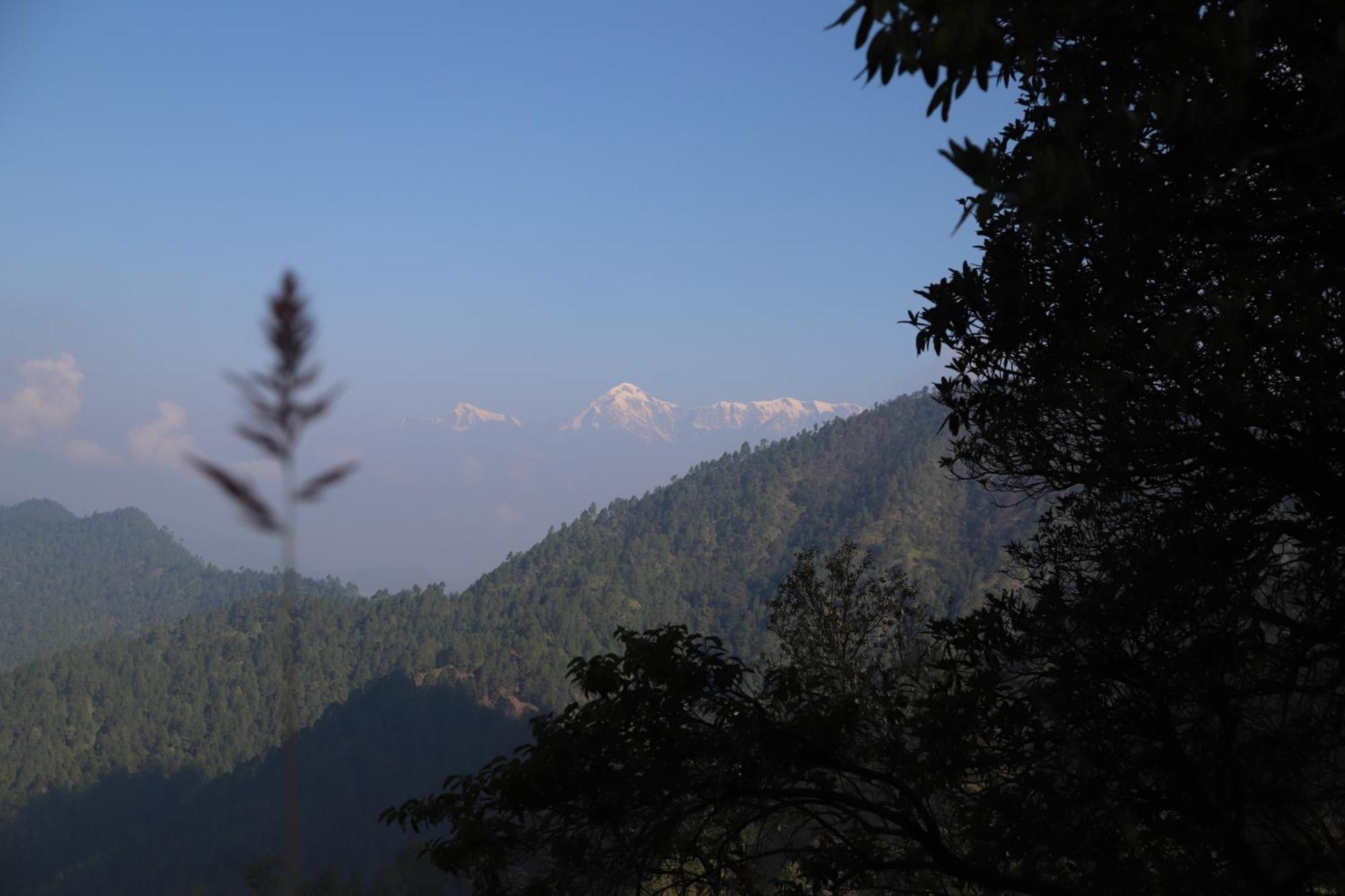 Simba Jungle Lodge, Binsar Wildlife Sanctuary Екстериор снимка