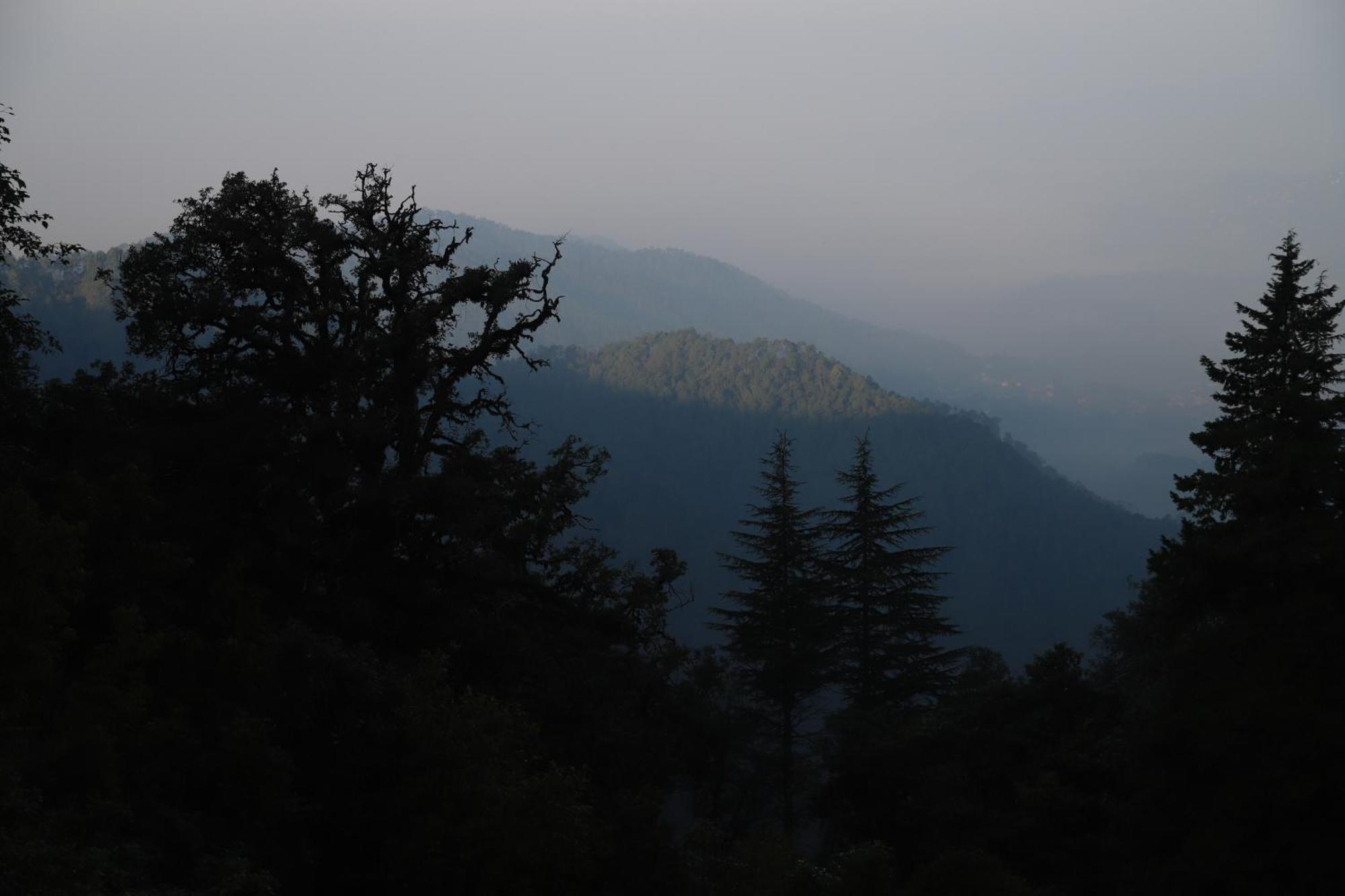 Simba Jungle Lodge, Binsar Wildlife Sanctuary Екстериор снимка