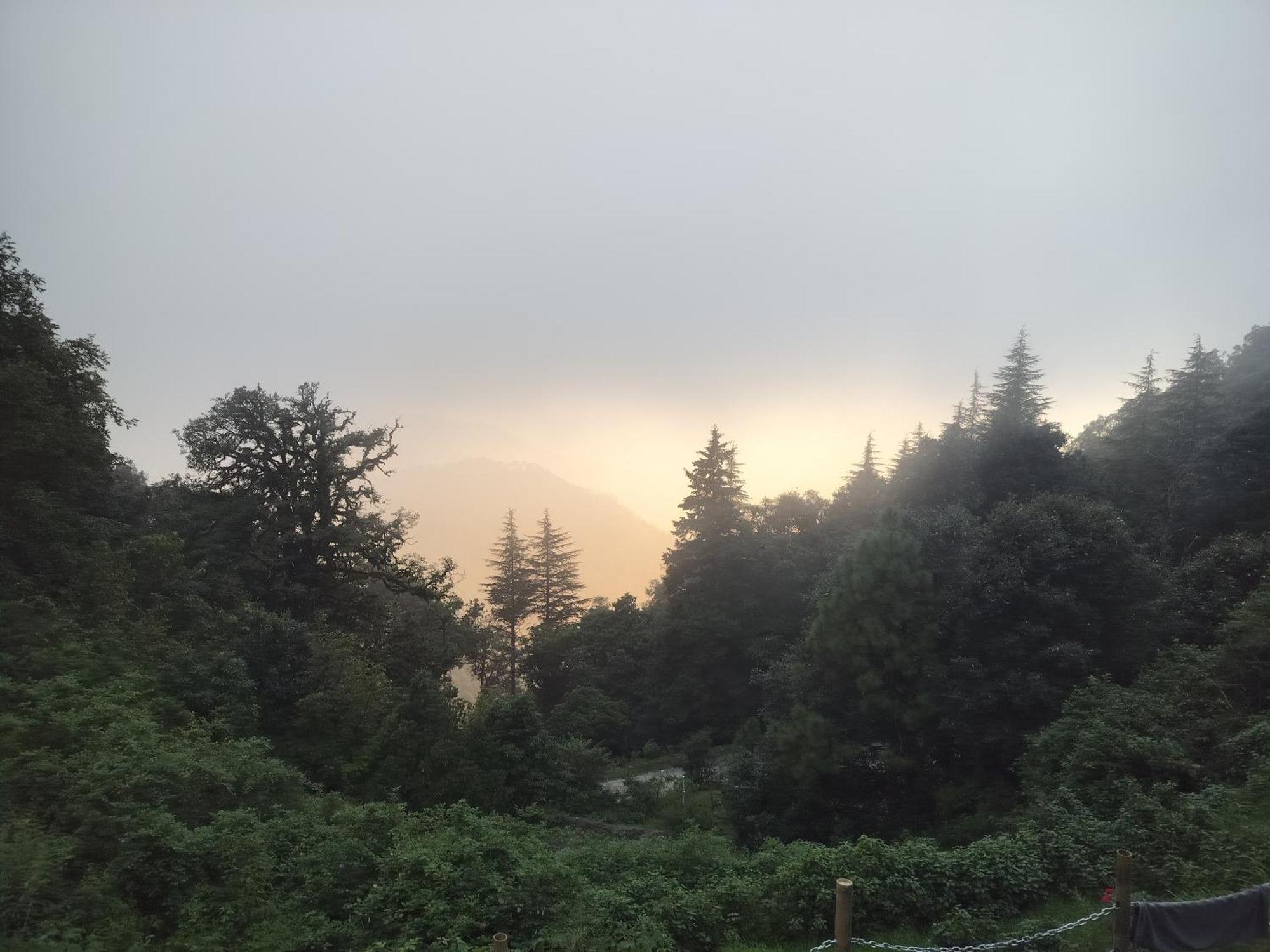 Simba Jungle Lodge, Binsar Wildlife Sanctuary Екстериор снимка