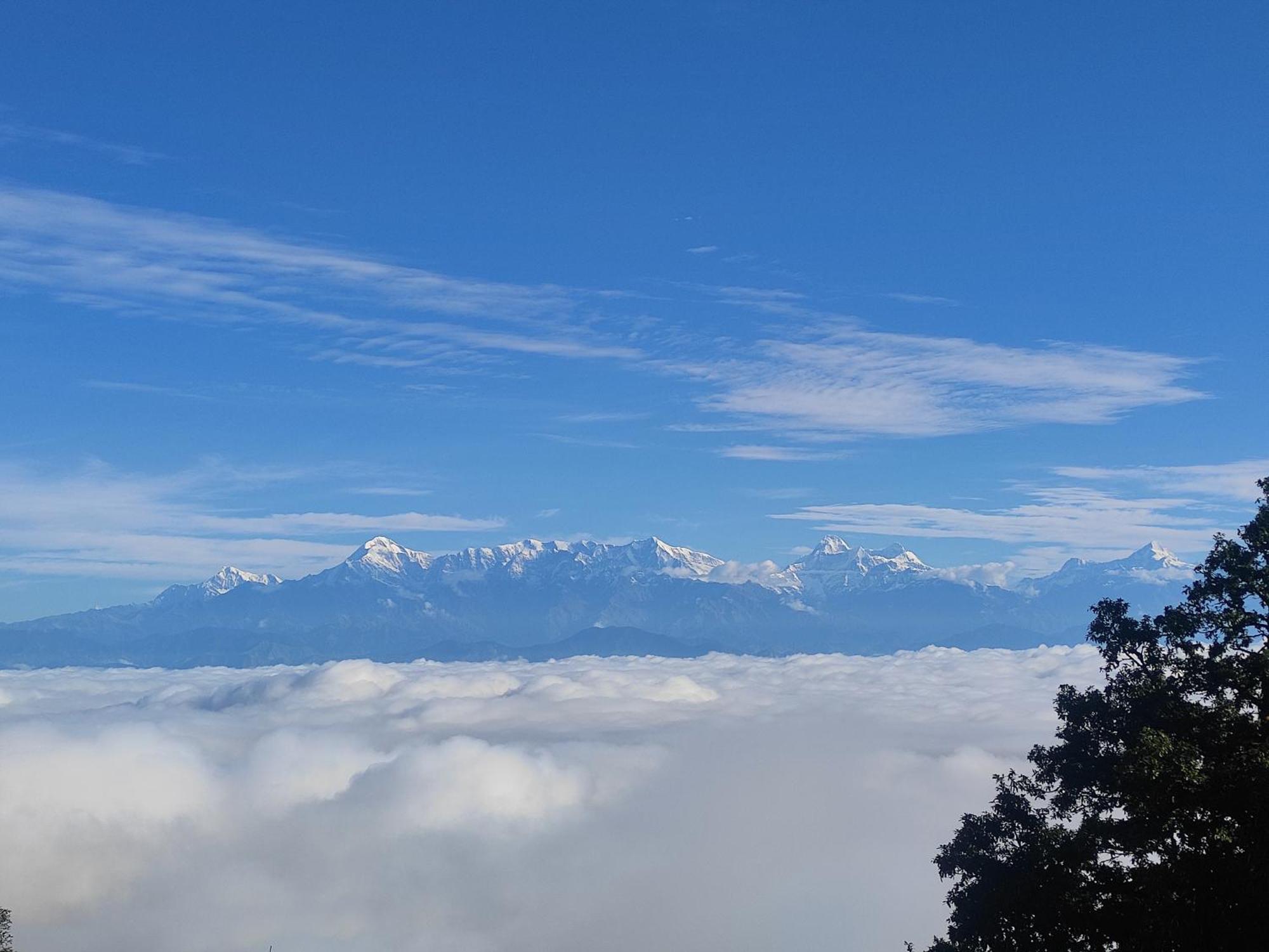Simba Jungle Lodge, Binsar Wildlife Sanctuary Екстериор снимка